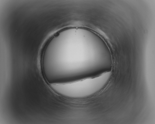 X0000102271464200807250848