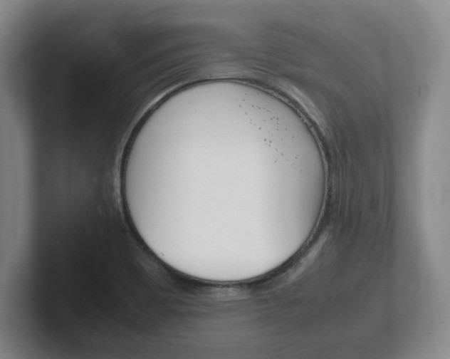 X0000102271465200807250848