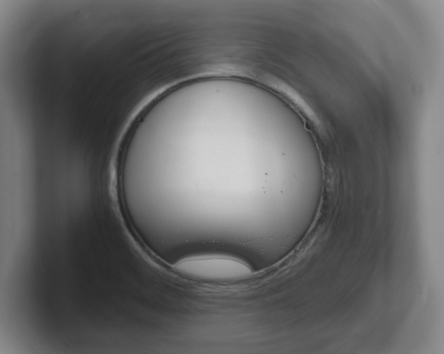 X0000102271468200807250848