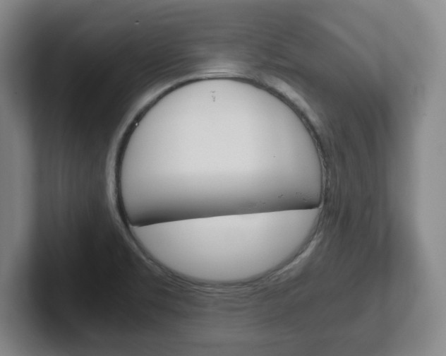 X0000102271469200807250848