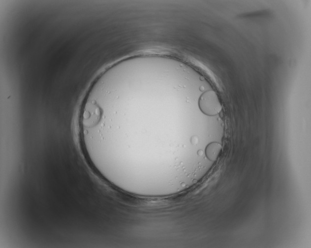 X0000102271471200807250848