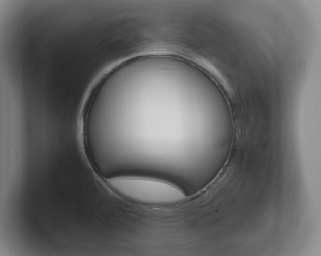 X0000102271472200807250848