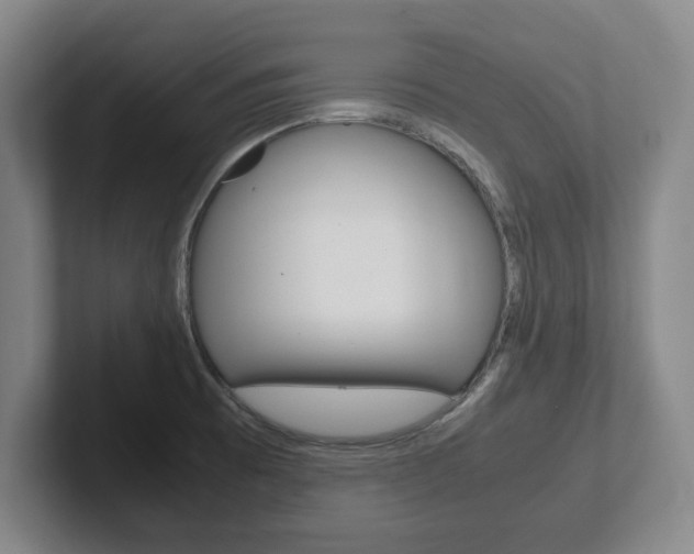 X0000102271473200807250848