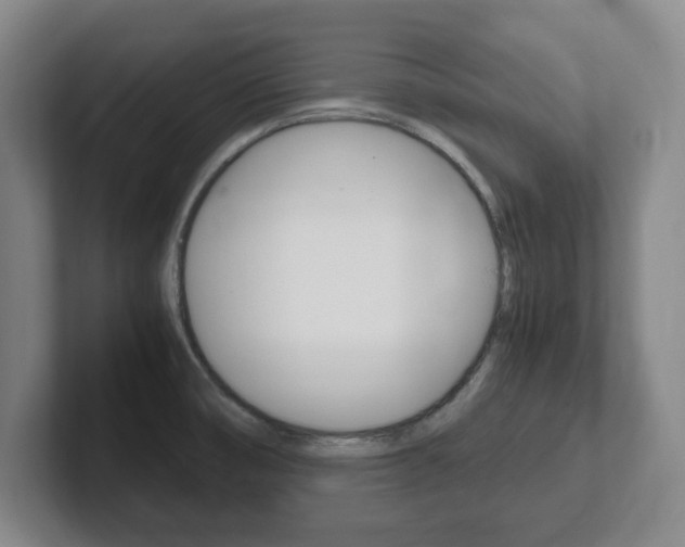 X0000102271474200807250848