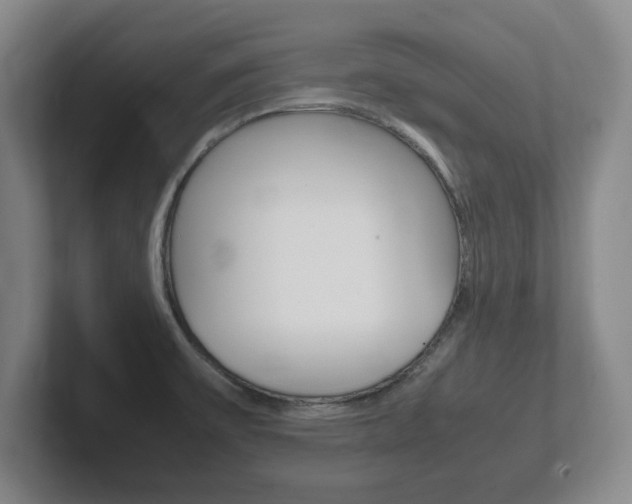 X0000102271475200807250848