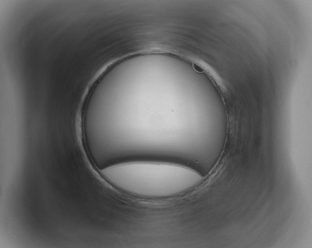 X0000102271476200807250848