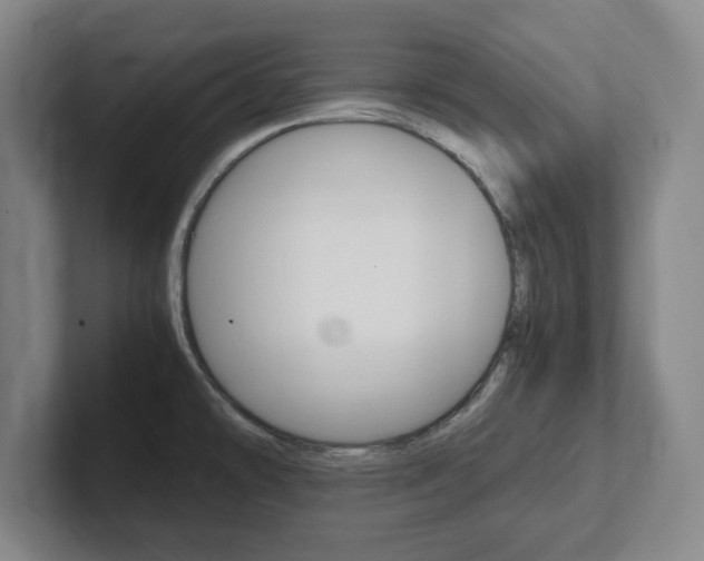 X0000102271478200807250848