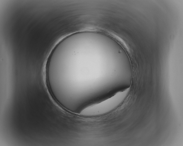 X0000102271479200807250848