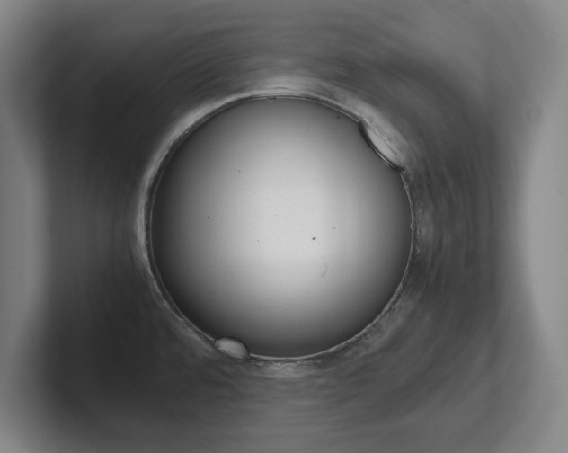 X0000102271480200807250848