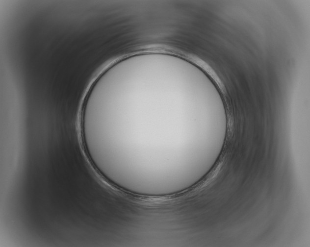 X0000102271482200807250848