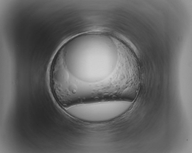 X0000102271483200807250848