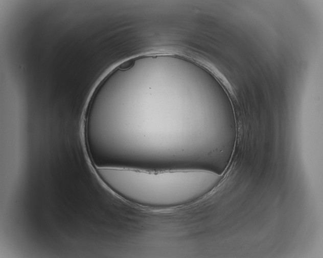 X0000102271484200807250848