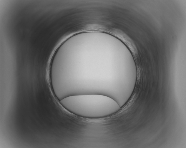 X0000102271486200807250848