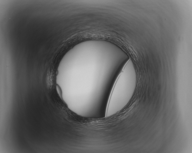X0000102271490200807250847