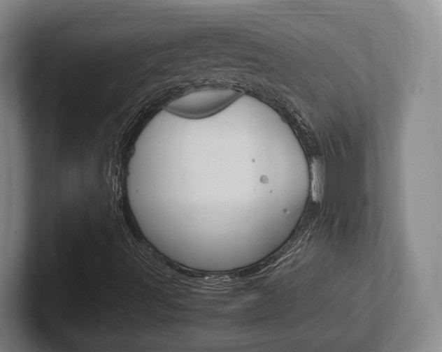 X0000102271491200807250847