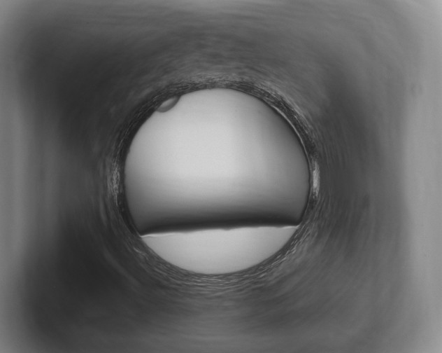 X0000102271492200807250847