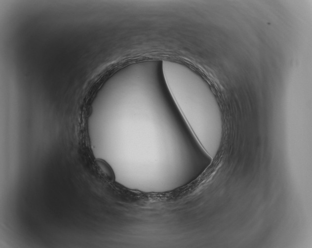 X0000102271494200807250847