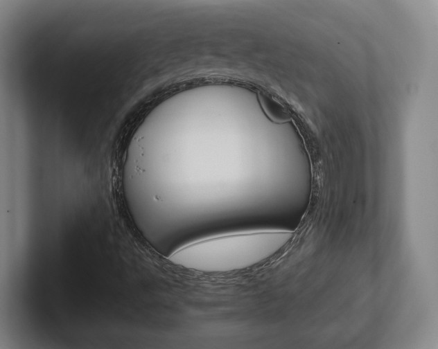 X0000102271495200807250847