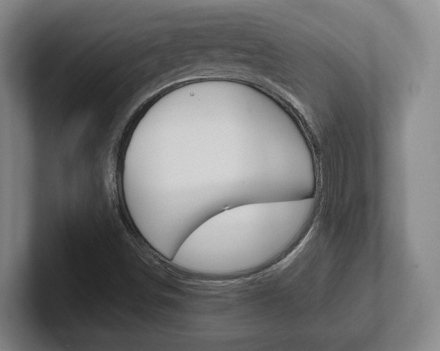 X0000102271498200807250847