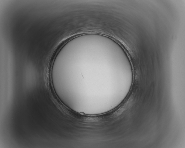X0000102271499200807250847