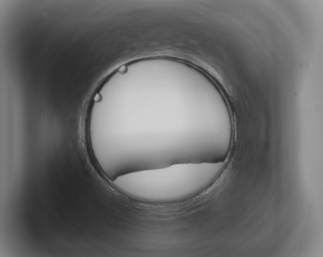 X0000102271500200807250847