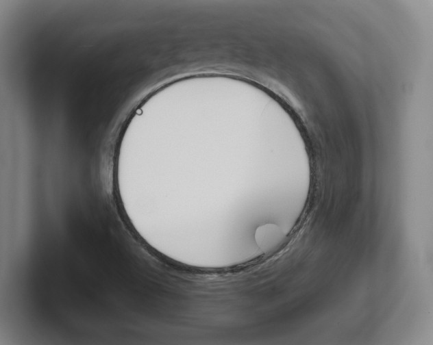 X0000102271504200807250847