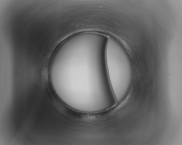 X0000102271505200807250847
