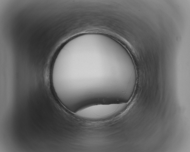 X0000102271506200807250847