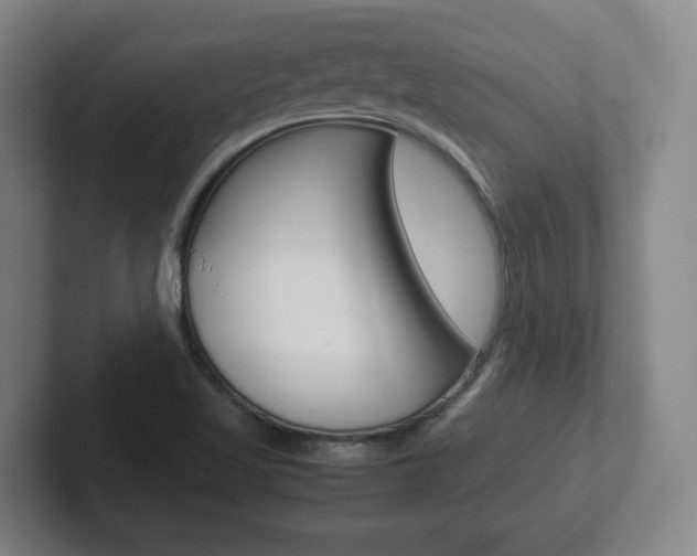 X0000102271509200807250847