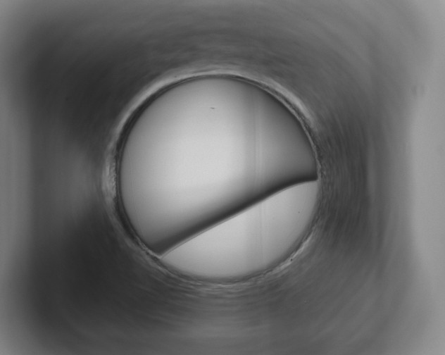 X0000102271510200807250847