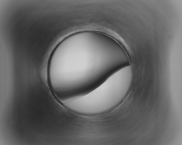 X0000102271512200807250847