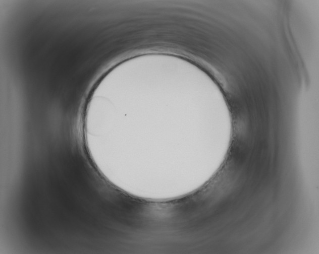 X0000102271514200807250847