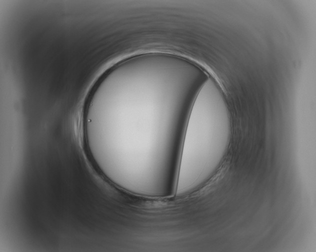 X0000102271515200807250847