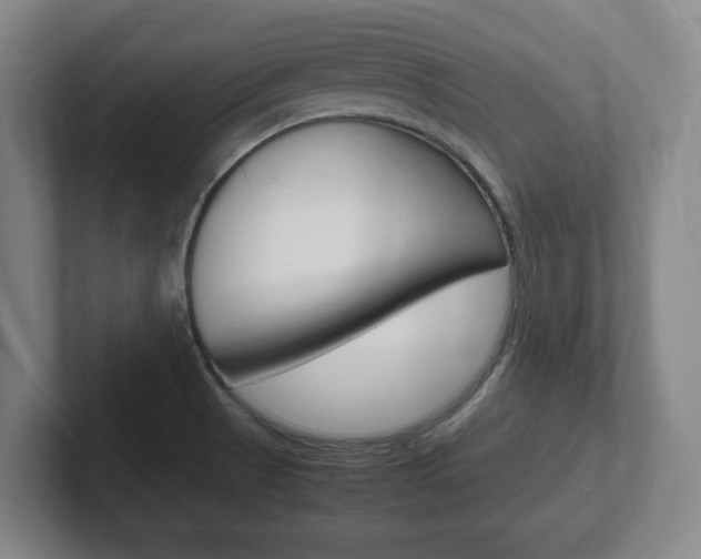 X0000102271521200807250847