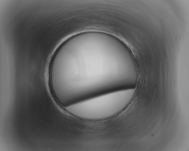 X0000102271523200807250847
