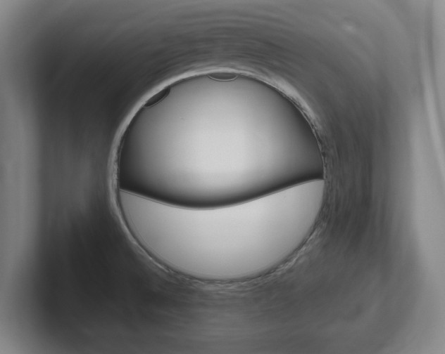X0000102271524200807250847