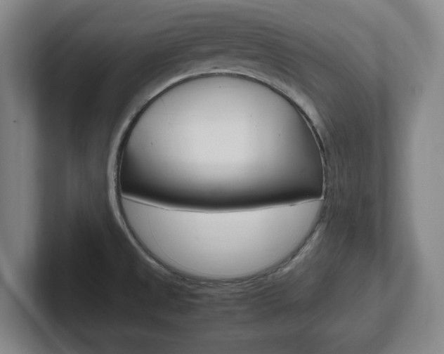X0000102271525200807250847
