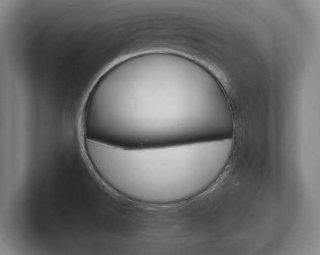 X0000102271526200807250847