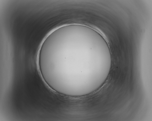 X0000102271528200807250847