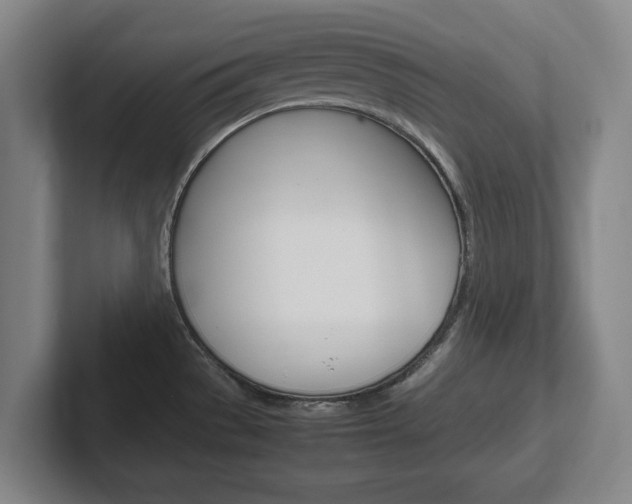 X0000102271529200807250848