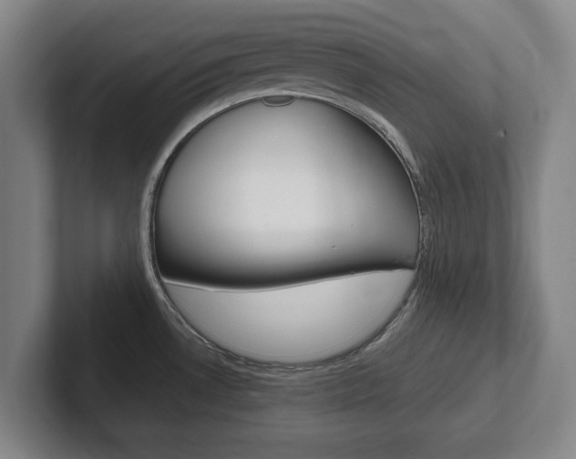 X0000102271530200807250848