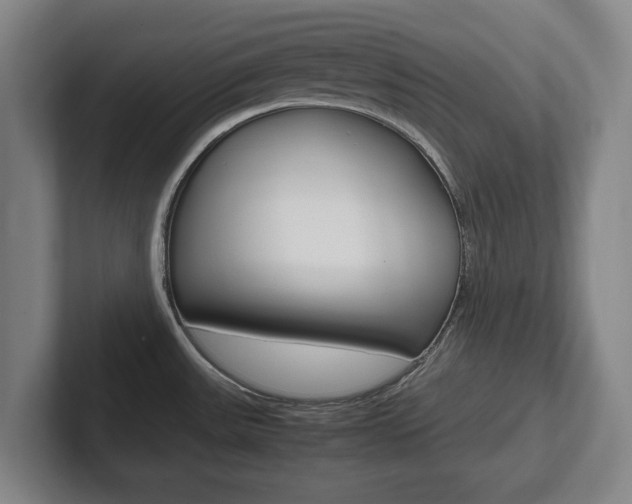 X0000102271531200807250848