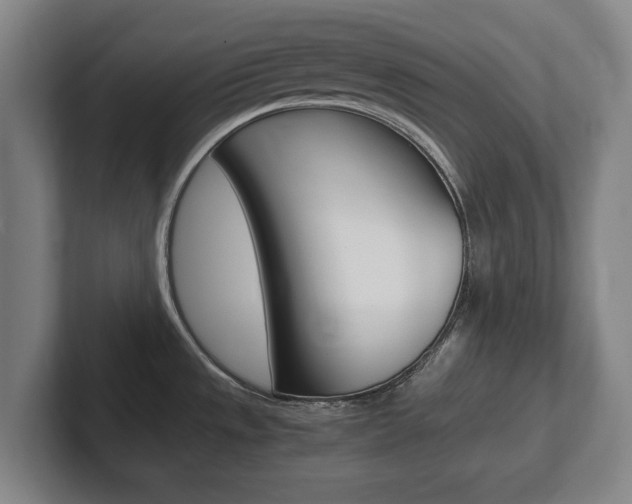 X0000102271533200807250848