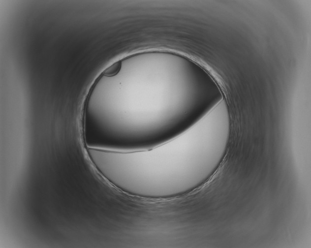 X0000102271534200807250848