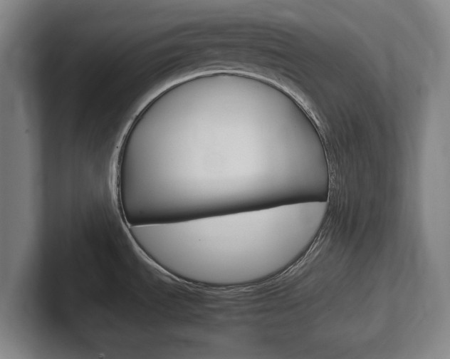 X0000102271535200807250848