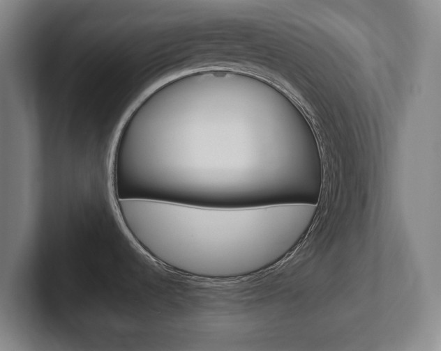 X0000102271536200807250848