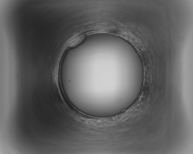 X0000102270003200807251359
