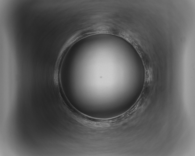 X0000102270004200807251359