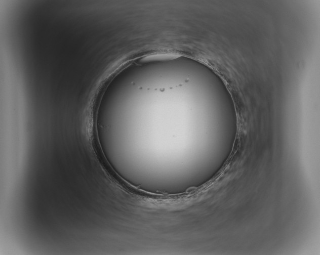X0000102270005200807251359