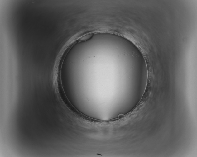X0000102270007200807251359